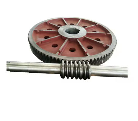 Υψηλής αντοχής Custom Worm Gear Shaft Μεγάλο Worm Gear OEM Διαθέσιμο